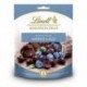 Lindt Sensation Fruit Myrtille et Açaï 150g (lot de 2)