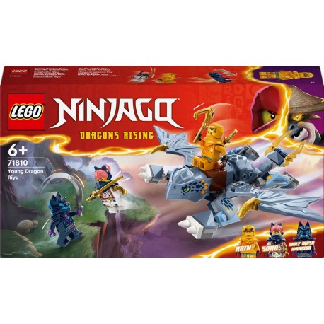 LEGO 71810 NINJAGO Le Jeune Dragon Riyu