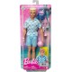 MATTEL Poupée Ken à la plage la poupée