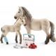 SCHLEICH Figurine Kit De Secours D Horse Club Ha