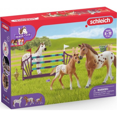 SCHLEICH Entraînement au concours de Lisa Horse club 42433 la boîte