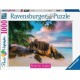 NC Puzzle 1000 Pieces Les Seychelles - Paysages Adultes Et Enfants Des 14 Ans