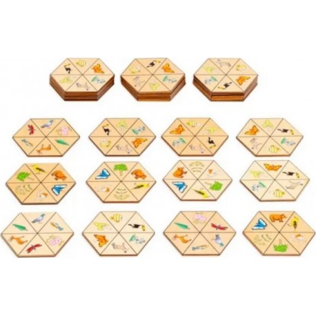 Matching Practice Concentration Nature Hexagon Jeu Montessori