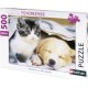 NC Puzzle N 500 P Réveille-toi