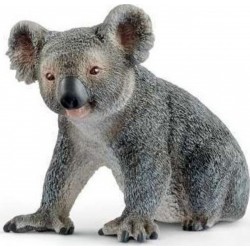 NC 14815 Koala