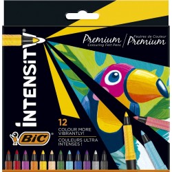 BIC Feutre coloriage Intensity Premium Pointe incurvée fine lot de 12 feutres