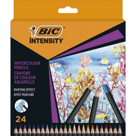 BIC Crayon de couleur Aquarelle lot de 24 crayons de couleur