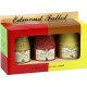 EDMOND FALLOT Moutarde de Dijon assortiment aux noix, cassis & vin blanc les 3 pots de 100ml