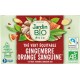 JARDIN BIO Thé vert au gingembre saveur orange sanguine Bio ETIC 20 sachets