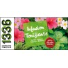NC Infusion tonifiante 1336 1336 25 sachets