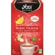 YOGI Infusion bonne humeur Bio 15 sachets