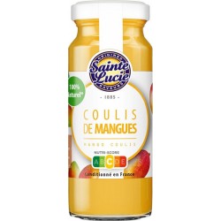 SAINTE LUCIE Coulis mangue 110g