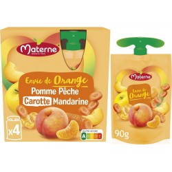 MATERNE Compotes Envie de orange pomme pêche carotte mandarine sans sucres ajoutés les 4 gourdes de 90g