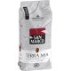 SAN MARCO Café Terra Mia Grain la sachet de 500g