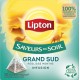 LIPTON Infusion Saveur du soir Grand sud menthe et réglisse 20 sachets