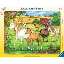 Ravensburger Puzzle cadre 30-48 pièces - Chevaux dans l'enclos