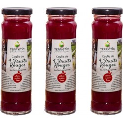 NC Lot 3x Coulis 4 Fruits Rouges Mont Du Lyonnais Terr'étic Fruit Du Travail Paysan Bocal 156ml les 3 bocaux