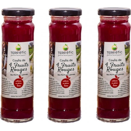 NC Lot 3x Coulis 4 Fruits Rouges Mont Du Lyonnais Terr'étic Fruit Du Travail Paysan Bocal 156ml les 3 bocaux