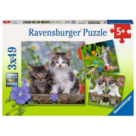 Ravensburger Puzzles 3x49 pièces - Chatons tigrés