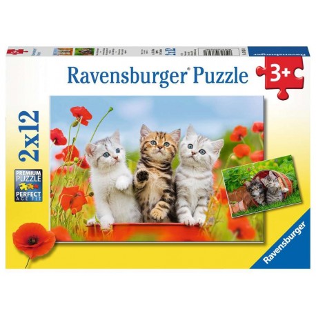 Ravensburger Puzzles 2x12 pièces - La découverte des chats