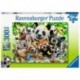 Ravensburger Puzzle 300 p XXL - Le selfie des animaux sauvages