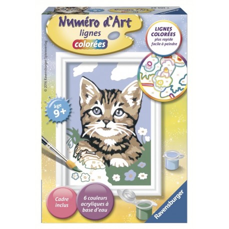 Ravensburger Numéro d'art - mini - Chaton tigré étonné