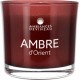 AMBIANCE DEVINEAU Bougie Ambre d'Orient la bougie