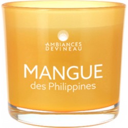 AMBIANCE DEVINEAU Bougie Mangue des Philippines la bougie