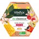 VITAFLOR Complément alimentaire gelée royale énergie+ Bio 20 ampoules