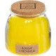 NC Bougie Parfumée En Verre lid 230g Citronnelle