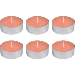 NC Lot De 6 Bougies Chauffe-plat essentiel 5,5cm Mangue