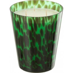 NC Bougie Parfumée noa 20cm Bois De Santal Vert