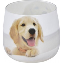 Bougie Anti-odeurs chien 8cm Blanc