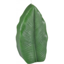 Bougie Feuille jardin D'hiver 18cm Vert Foncé