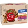 PURINA 10X85G ONE CHIEN MINI ADULTE 850g