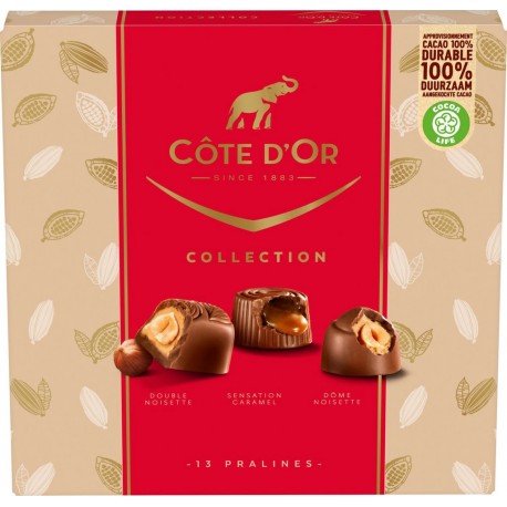 COTE OR Assortiment de chocolats Collection COTE D'OR 135g