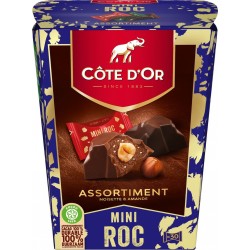 COTE OR Assortiment de chocolats avec noisettes Mini Roc COTE D'OR 279g