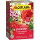 Algoflash Engrais Géraniums Fleur de Massifs et Balcons 1Kg