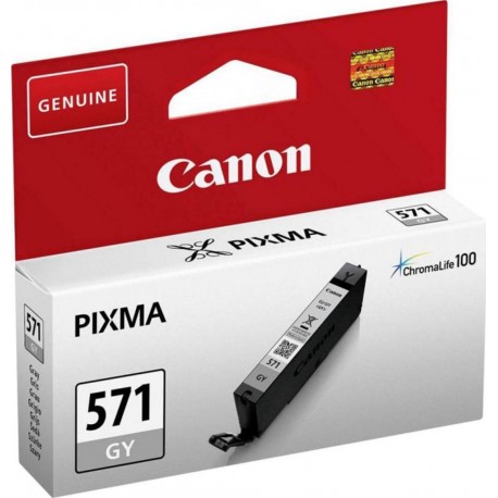 Canon Cartouche d’Encre Pixma ChromaLife 100 571 Gris (lot de 2)