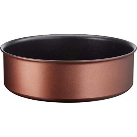 TEFAL INGENIO RESOURCE SAUT 24