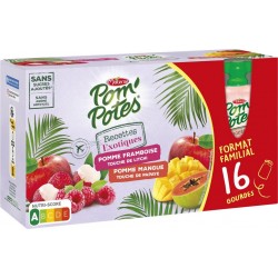 POM'POTES Compotes Recettes Exotiques pomme framboise litchi, mangue papaye sans sucres ajoutés les 16 gourdes de 90g