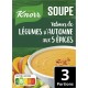 KNORR Soupe Déshydratée Velours de Légumes d'Automne aux 5 Épices le paquet pur 3 portions