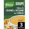 KNORR Soupe Déshydratée Velours de Légumes d'Automne aux 5 Épices le paquet pur 3 portions