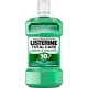 LISTERINE Bain de Bouche Dents Et Gencives Fraîcheur Menthe 10en1 500ml