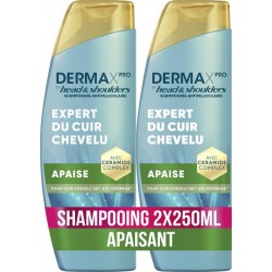 HEAD & SHOULDERS Shampooing Antipelliculaire Derma X pro Apaise Extrait d'Aloe Vera lot de 2 flacons de 250ml
