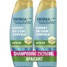 HEAD & SHOULDERS Shampooing Antipelliculaire Derma X pro Apaise Extrait d'Aloe Vera lot de 2 flacons de 250ml