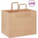 Vidaxl Sacs En Papier 50 Pcs Avec Poignées Marron 32x22x24 Cm