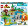 LEGO 3 Duplo Ma Ville Familles d'Animaux Sauvages -en-1 10446