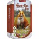 OriGames Le Renard des Bois Duo - Edition 2025