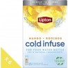 LIPTON Lipton Infuse A Froid Mangue Rooibos, Eau Aromatisée Healthy (6x 15 Sachets Pyramid)